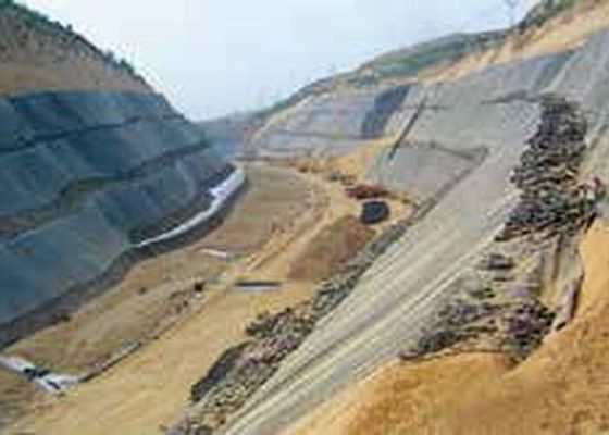 8m Geomembran Suya Dayanıklı PE TPO EVA PVC Levha Ekstrüzyon Hatları