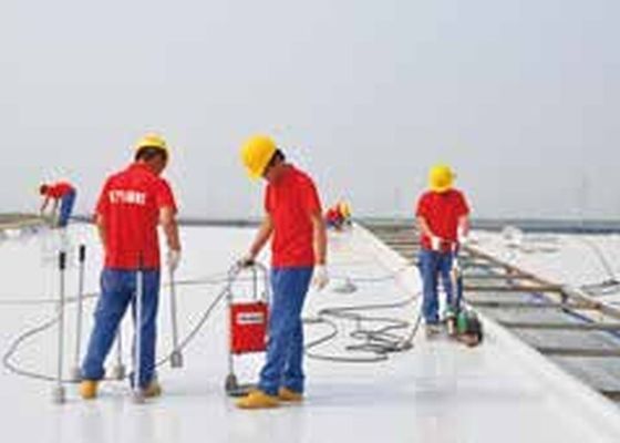 Su geçirmez PVC EVA PE TPO Levha Ekstrüzyon Hatları